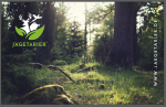Jägetarier® Frühstücksbrettchen Wald